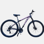 GTL  Acero Rod.29